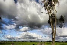 NG体育官网：曝热刺关注伯恩茅斯主帅伊劳拉 若解雇澳波将积极追他.